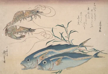 Hestemakrell, ferskvannsreker og tang, ca. 1832