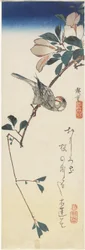 Java Sparrow og Magnolia, 1834-1839