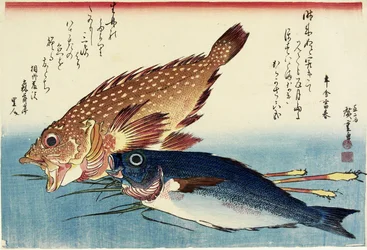 Skorpionfisk, kyllinggrynt og ingefærskudd, ca. 1832