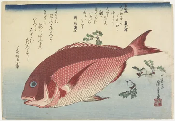 Sea Bream and Sansho_Sprigs, ca. 1832