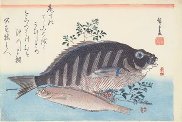 Shimadai og Ainame, fra serien 'The Large Fish', Utagawa School, ca. 1840-42 (treblokk håndfarget trykk på papir)