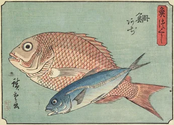 Snapper og hestmakrell, 1830-1844