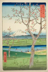 Utkanten av Koshigaya i Musashi-provinsen (Musashi Koshigaya zai), fra serien "Thirty-six Views of Mount Fuji (Fuji sanjurokkei)"