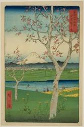 Utkanten av Koshigaya i Musashi-provinsen (Musashi Koshigaya zai), fra serien "Thirty-six Views of Mount Fuji (Fuji sanjurokkei)"