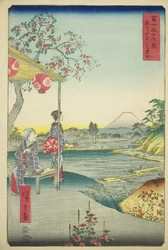Utsikt over Fuji-fjellet fra et tehus ved Zoshigaya (Zoshigaya Fujimi chaya), fra serien "Thirty-six Views of Mount Fuji (Fuji sanjurokkei)"