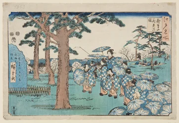 Visning av kirsebærblomster ved Asuka Hill (Asukayama hanami no zu) (farget treblokktrykk)