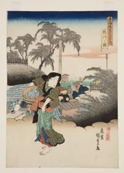 Se v av Fujikawa (figur av Fujikawa)