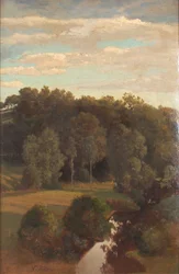 Skogkledde åser bak en eng med en torvmyr