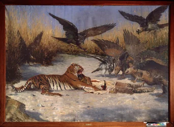 A Man-eater - Maleri av Vasili Vasilyevich Vereshchagin (Vassili Vereshchagin) (1842-1904), olje på lerret, rundt 1870-1880, russisk kunst 1800-tallet - Regionalt W Wereshchagin Art Museum, Mykolaiv (Ukraina)