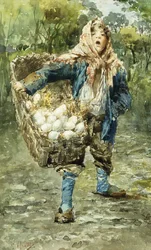 Unge egg selger