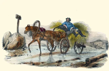 Le Paysan Russe. i "" Album Grotesque, Choices of Outstanding Types", illustrasjoner av Victor Adam, Paris, rundt 1850.