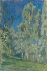 Bjørker ved middagstid, 1903