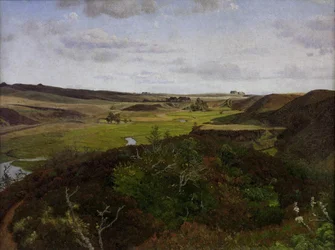 Dollerup Hills ved Hald