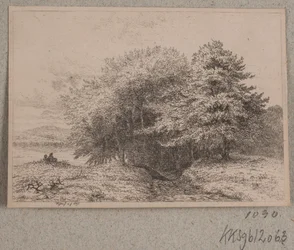 Utkanten av en skog
