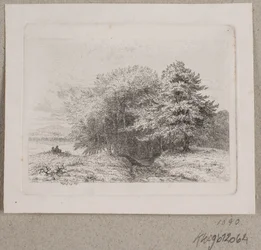 Utkanten av en skog
