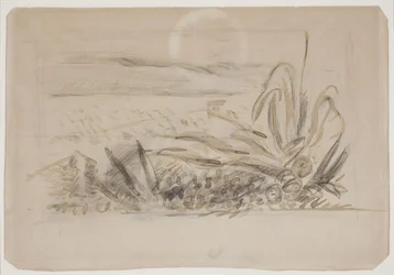Landskap med agave. Sør-Frankrike