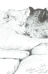Montwee og Baby nyttår 2005, 2005