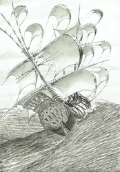 Storm Creators Zhaoyang Hu, 2022