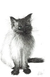 Ung baby, 2004