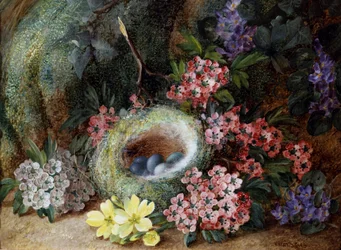 Fuglebol med blomster og primulaer. Maleri av Vincent Clare (ca. 1855–1930). Privat samling.