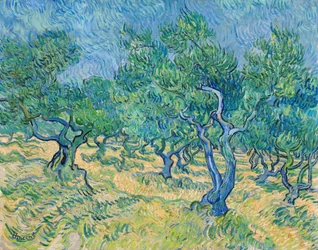 Oliventrær, 1889