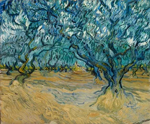 Olivenlunden, Saint-Rémy, 1889