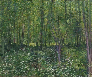 Trær og underskog. 1887