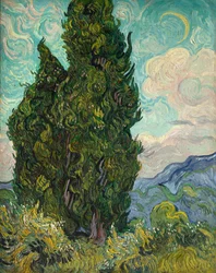 Sypresser