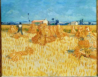Innhøsting i Provence juni 1888 (olje på lerret)
