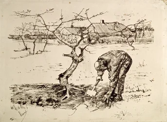 I frukthagen 1883