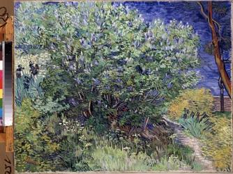 ""Syrinbusken"" (syrinbusken) Maleri av Vincent van Gogh (1853-1890) 1889 Mål 72x92 cm Eremitagemuseet, St. Petersburg (Sankt-Petersburg)