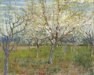 Rosa frukthage. 1888