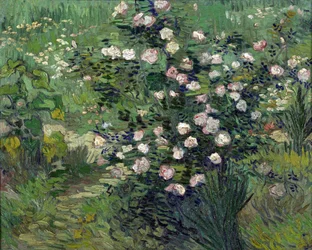 ""Roses"" Maleri av Vincent van Gogh (1853-1890) 1889 National Museum of Western Art, Tokyo, Japan