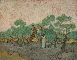 Kvinner som plukker oliven, 1889