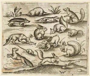 Gruppe av små skogsdyr som spiser og løper rundt en dam, inkludert en mus..., 1557.