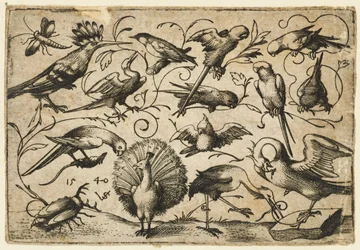 Ti fugler på små løvranker med en stork som binder en ranke rundt en pelikans ben..., 1540.