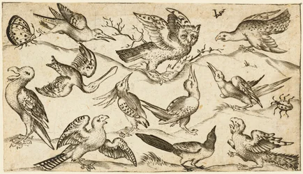 Elleve fugler og to insekter på minimal bakke med ugle med utstrakte vinger sitter på en gren i midten med andre fugler rundt og erter ugle, fra Douce Ornament Prints Album I, etter 1572 (gravering på lagt papir)