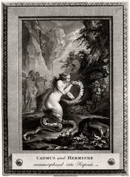 Cadmus og Hermine, metamorfosert til slanger, 1776