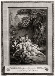 Procris drept av en pil som Cephalus sprang gjennom kratt, 1775