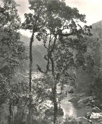 Utsikt over Kelani-elven, Kurunegala, Ceylon, 1895.