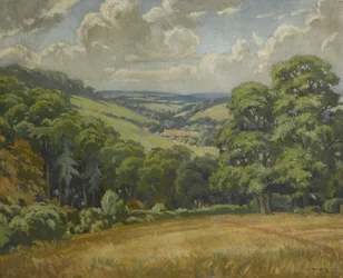 Scene fra Devon, nær Widdecombe Moor, ca. 1949
