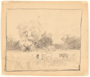 Landskap