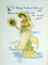 Solsikkeblomsten (solen) personifiserer i en ung kvinne kledd i gult og grønt. Plate 36 fra ""Flora