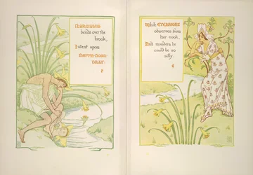 Narcissus og øyentrøst