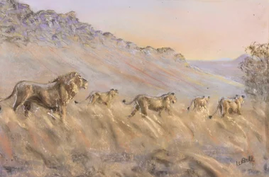 Afrikanske løver (pastell)