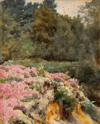 Grusgropehode, Royden (akvarell)