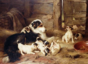 Fostermoren