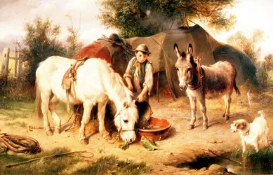 Gipsy Camp