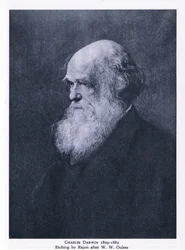 Etsning av Charles Darwin, Nature in Britain utgitt av Collins