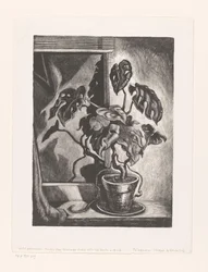 Filodendron i vinduskarm